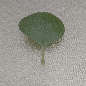 Joe B Green Reptile Habitat Accessory